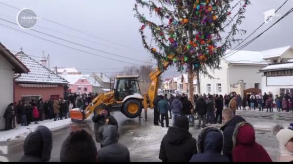 Obicei vechi și unic: ridicarea bradului