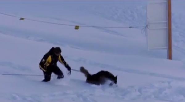 Miracol în Franţa, în Munţii Alpi. Un băiat de 12 ani a supravieţuit, aproape o oră îngropat în zăpadă, după o avalanşă