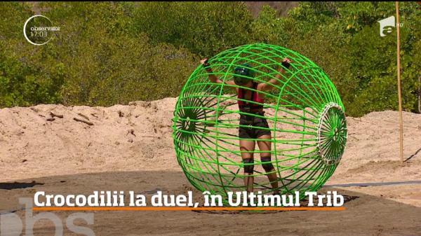”Crocodilii” la duel, în Ultimul Trib