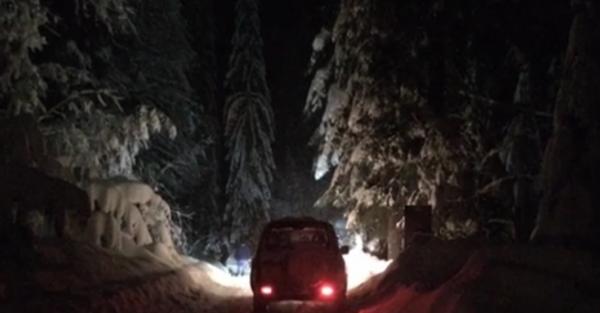 Imagini surprinzătoare pe o şosea din Maramureş. O mașină a fost la un pas să fie strivită de un brad