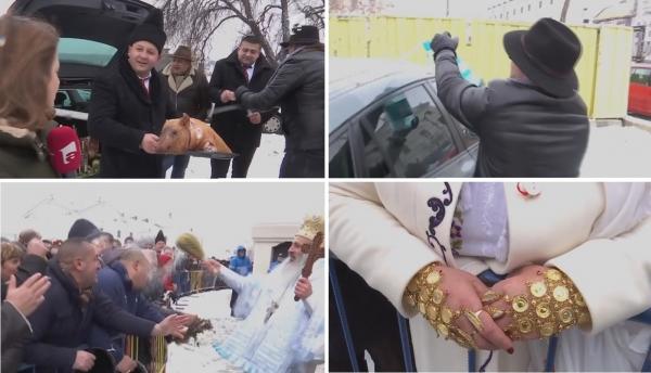 Bobotează cu purceluș la proțap și mănuși din bănuți de aur, la Iași: ”Să mai vină aur!”