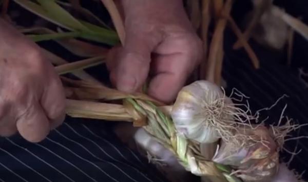 Ministerul Agriculturii vrea ca românii să mănânce doar usturoi autohton