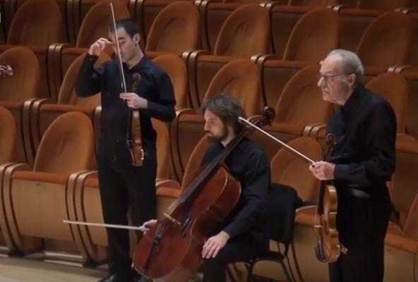 Liniște deplină în orașul italian Cremona, pentru a salva sunetul viorilor Stradivarius