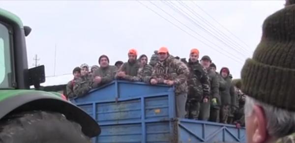 Goană organizată în Arad pentru prinderea iepurilor care au terorizat agricultorii