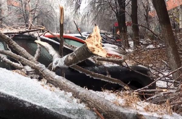 Dezastru în Bucureşti după ploaia înghețată. 50 de oameni au fost răniţi, capcane sunt la tot pasul