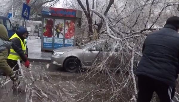 Haos în București, după episodul de ploaie înghețată. Sute de copaci au fost puşi la pământ
