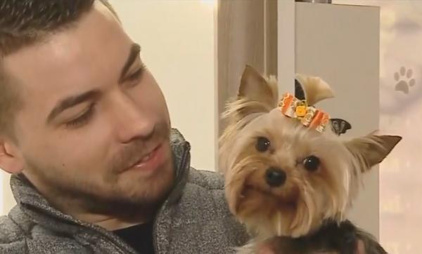 Animalele de companie ale românilor ajung tot mai des la cosmetică