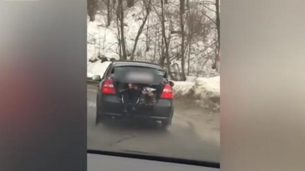 Cu prietenii în portbagaj, un şofer din Maramureş depăşeşte pe linie dublă continuă (Video)