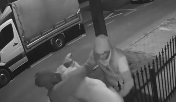 Tineri din Mureș, filmaţi în timp ce furau câinele unei familii