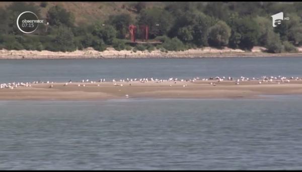 Fenomen inedit la Galaţi. În mijlocul Dunării, se ridică o nouă insulă