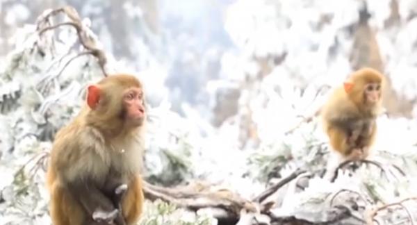 Spectacol de gheață fabulos creat de vreme în China