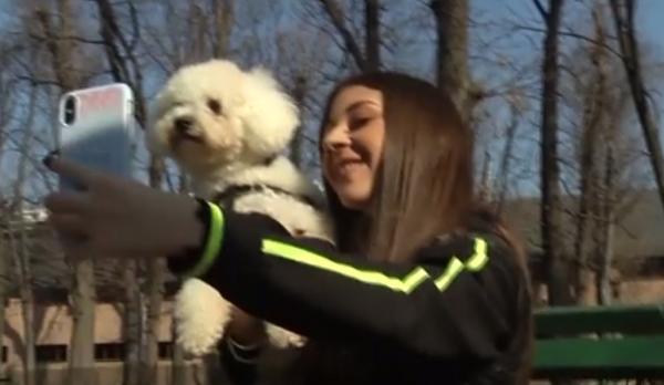 Animalele de companie, vedete pe internet, reprezintă adevărate afaceri online