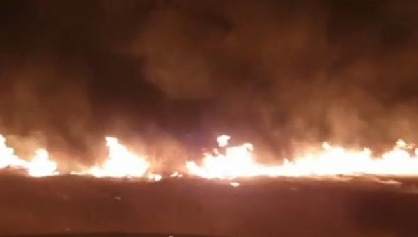 Un incendiu puternic de vegetaţie a avut loc în apropiere de Autostrada Bucureşti-Piteşti