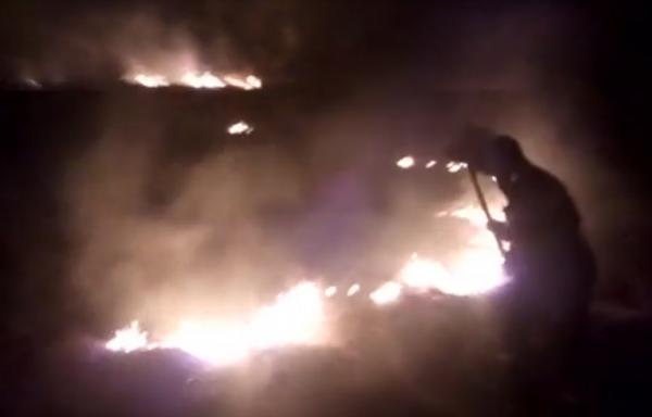 Incendii puternice de vegetaţie în Vaslui. Zeci de hectare de iarbă uscată au ars