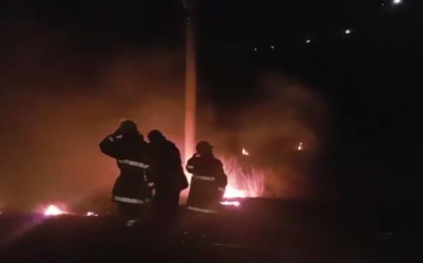 Incendiu puternic de vegetaţie, izbucnit în apropierea Portului Constanţa