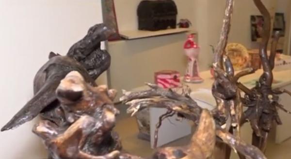 Un bărbat din Mehedinţi creează artă din bucăţi de lemne aduse de apele Dunării la baraj