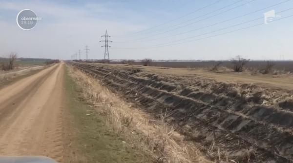 Culturile de grâu, complet compromise de secetă în sudul ţării