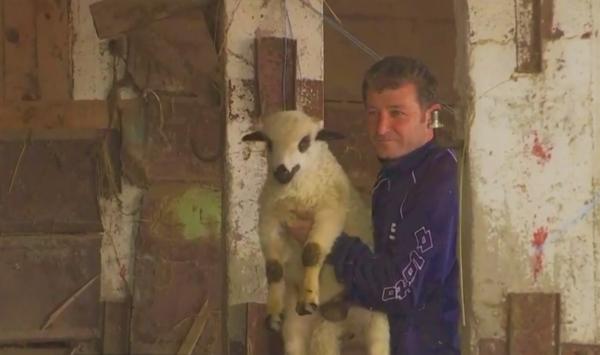 Tinerii români, încurajați să muncească la sat, în agricultură