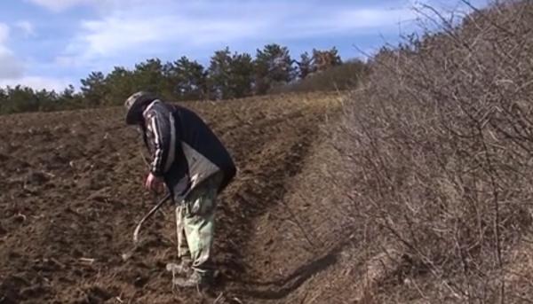 Legenda agatârşilor, tribul misterios al Daciei