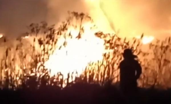 Un incendiu puternic de vegetaţie a paralizat traficul pe DN1. Un nor gros de fum a înghiţit drumul