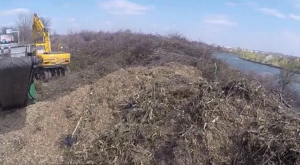 Copacii uscaţi, compost pentru plante. Cum se pot recicla vreascurile