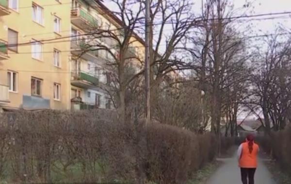 Filmul crimei din Sighetu Marmației. Femeia i-ar fi spus ucigașului că nu este tatăl biologic al unui copil