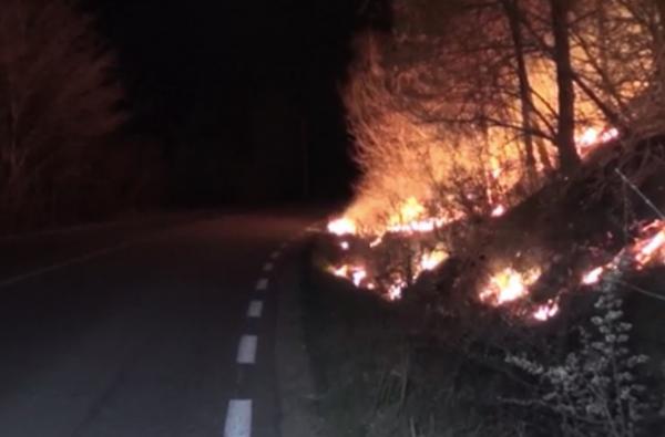 Zeci de incendii de vegetaţie fac prăpăd zilnic în ţară. În Caraş Severin pompierii au intervenit la zeci de cazuri