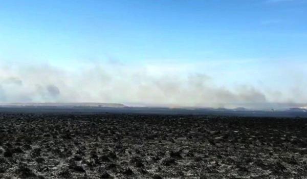 Incendiu uriaş în Rezervaţia Delta Dunării. Peste 250 hectare au fost transformate în scrum