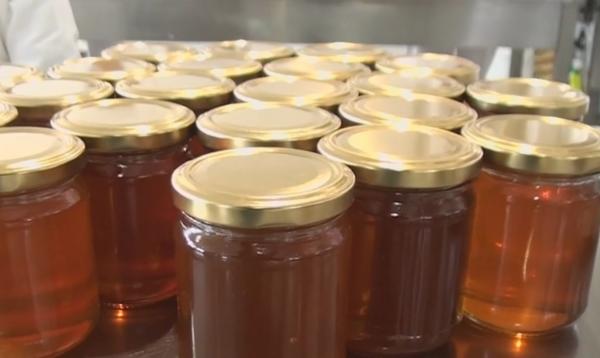 Apicultorii români riscă să rămână cu tone de miere nevândute. Care sunt cauzele