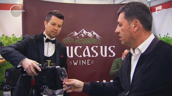 Cum alegi un vin de calitate. Care sunt criteriile