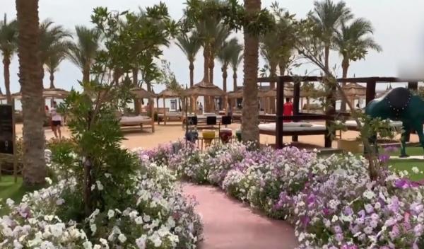 Egiptul, lecţie de turism şi de istorie cu Alin Burcea (Video)