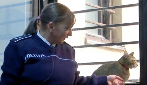 Ea este Sirponeta, pisica poliţist, mândria Poliţiei Capitalei