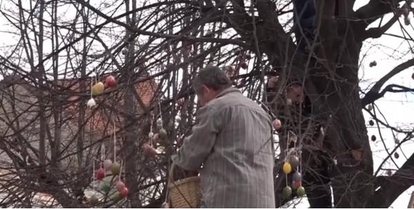 La Ghiorghieni, în Harghita, s-a împodobit un copac cu ouă încondeiate de Paştele Catolic