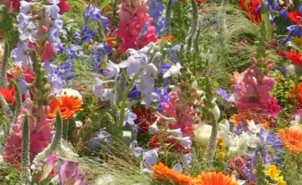 Festival al florilor la Timișoara, organizat de Florii