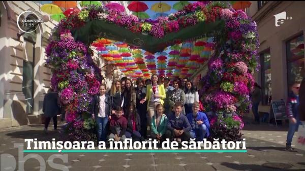 Timişora a înflorit de sărbătoarea Floriilor. Milioane de flori au împânzit oraşul