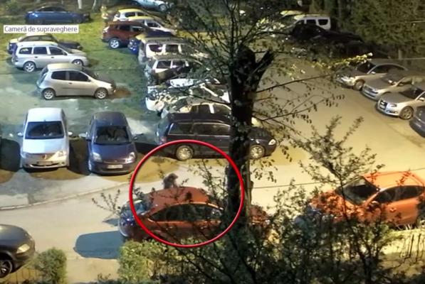 Un bărbat a făcut ravagii într-o parcare din Bacău. Trei mașini, distruse în doar câteva minute