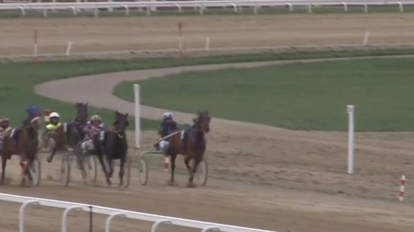 Cascadorul Filimon Iordache, număr unic de dresură ecvestră, la singurul Hipodrom de trap din ţară (Video)