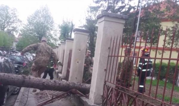 Norul saharian aduce vreme extremă în România. La Sibiu, vântul puternic a doborât un copac