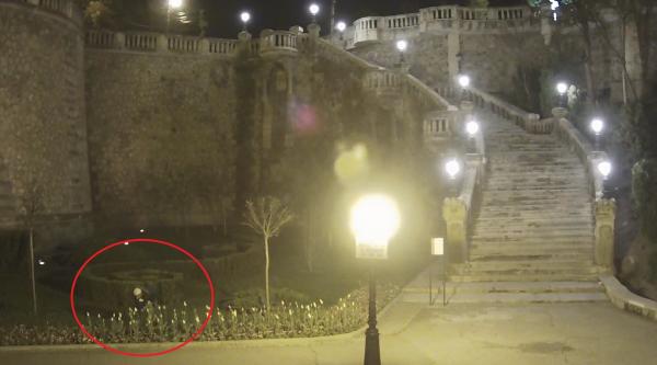 Un bărbat s-a ales cu dosar penal, după ce a rupt absolut toate lalelele dintr-un parc, în Iaşi (Video)