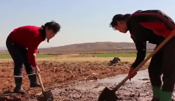 Criză alimentară în Coreea de Nord. 300 de grame de mâncare pe zi, de persoană