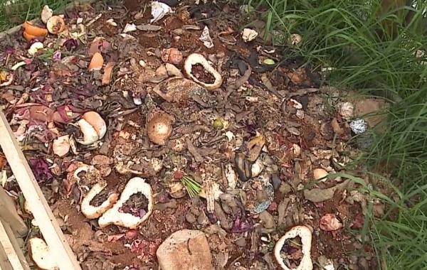 Campanie de ecologizare în Reghin, organizată de doi tineri (Video)