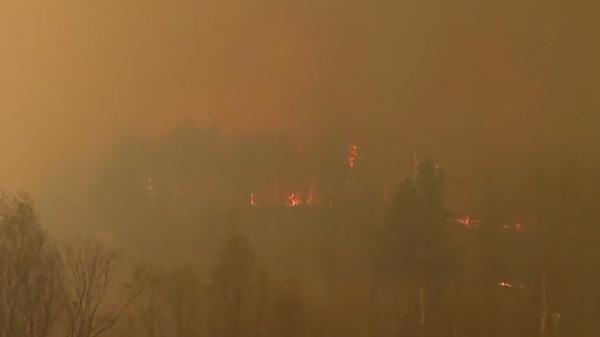 Flăcările se extind ameninţător în pădurile din Siberia. Mai multe localităţi au fost evacuate
