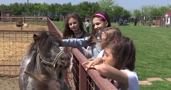 O fermă din Constanța, locul de joacă ideal pentru copii