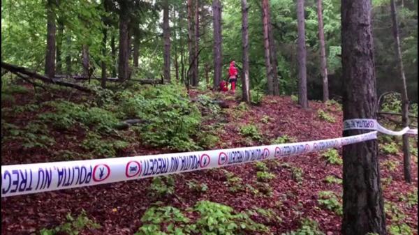 Imagini de la tragedia din Buzău. 2 morţi, după ce un avion s-a prăbuşit în munţi (Video)