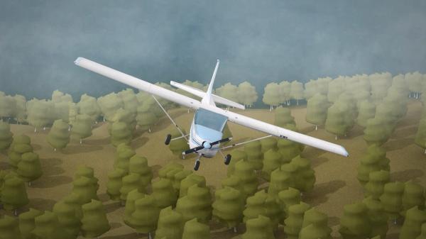 Animaţie: Cum s-a prăbuşit avionul la Buzău (Video)