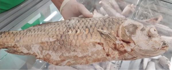 Se vinde peşte stricat în peste 50% din marile magazine din ţară