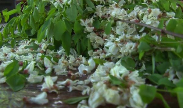 Gogoşile cu salcâm, desertul savuros şi foarte parfumat, realizat de gospodinele din Argeş