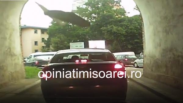 Tencuială căzută pe mașină, la un semafor din Timişoara (Video)