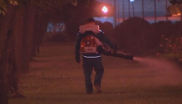 Invazie masivă de țânțari în spațiile verzi din București