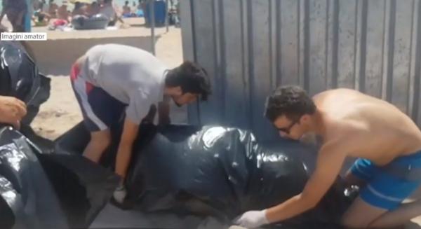 Plasele braconierilor lasă Marea Neagră fără delfini. Două mamifere au fost găsite fără viaţă de turişti (Video)